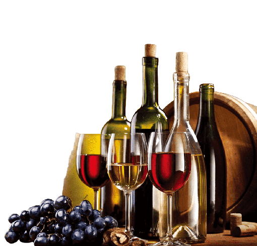 Harizma Aleksandrović